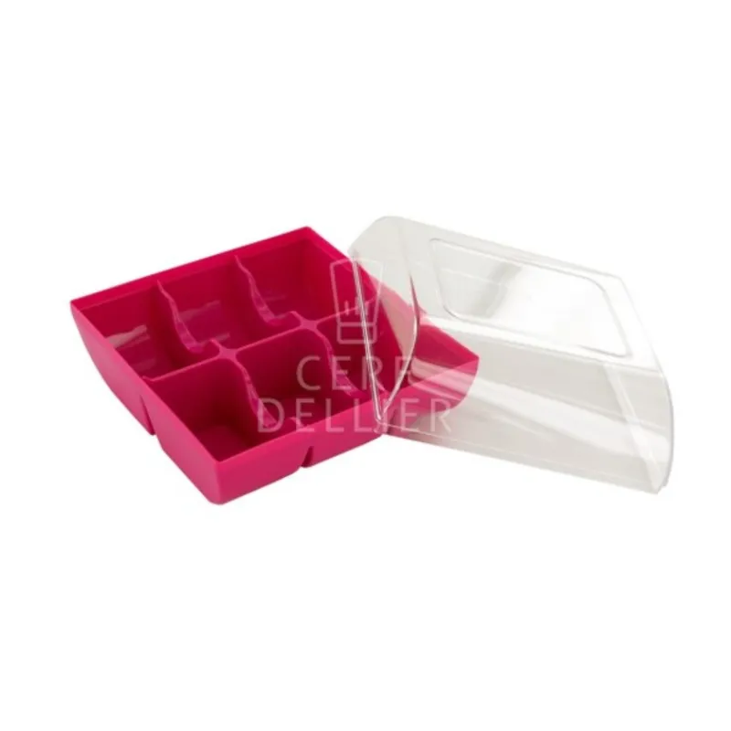 New Cerf Dellier Boîte 6 macarons fuchsia