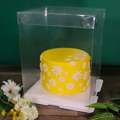 Best Cerf Dellier Boîte gâteau transparente - 25 x 25 x 30 cm