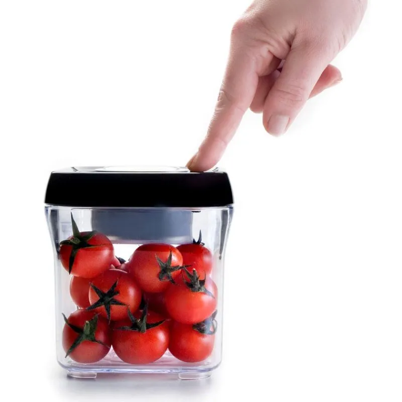 Best Cerf Dellier Boîte sous vide carrée empilable 0,50 l