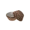 Hot Cerf Dellier Caissettes cupcake chocolat à pois (x60)