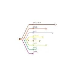 Cerf Dellier Chocolat de Couverture Noir Origine Venezuela 72 % 1 Kg