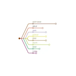 New Cerf Dellier Chocolat de Couverture Noir origine Mexique 66 % 2,5 Kg