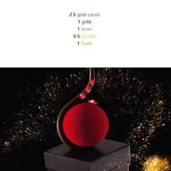 Best Cerf Dellier Chocolat de Couverture Noir Excellence pistoles 55 % 5 kg