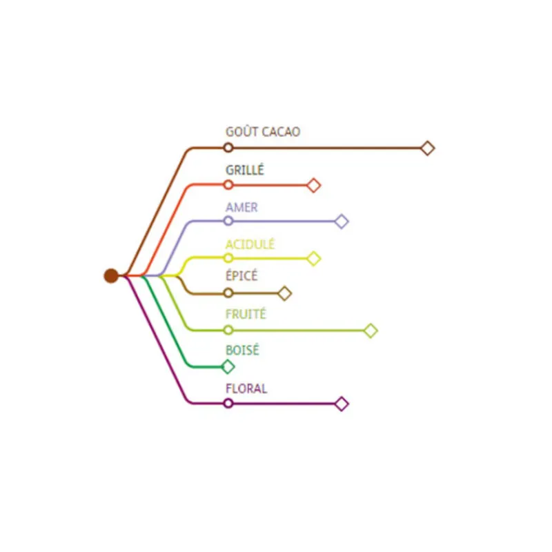 Best Cerf Dellier Chocolat de couverture noir St Domingue 70% 1 Kg