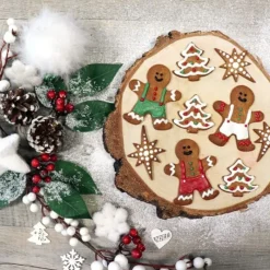 New Cerf Dellier Coffret Je fais mes biscuits de Noël