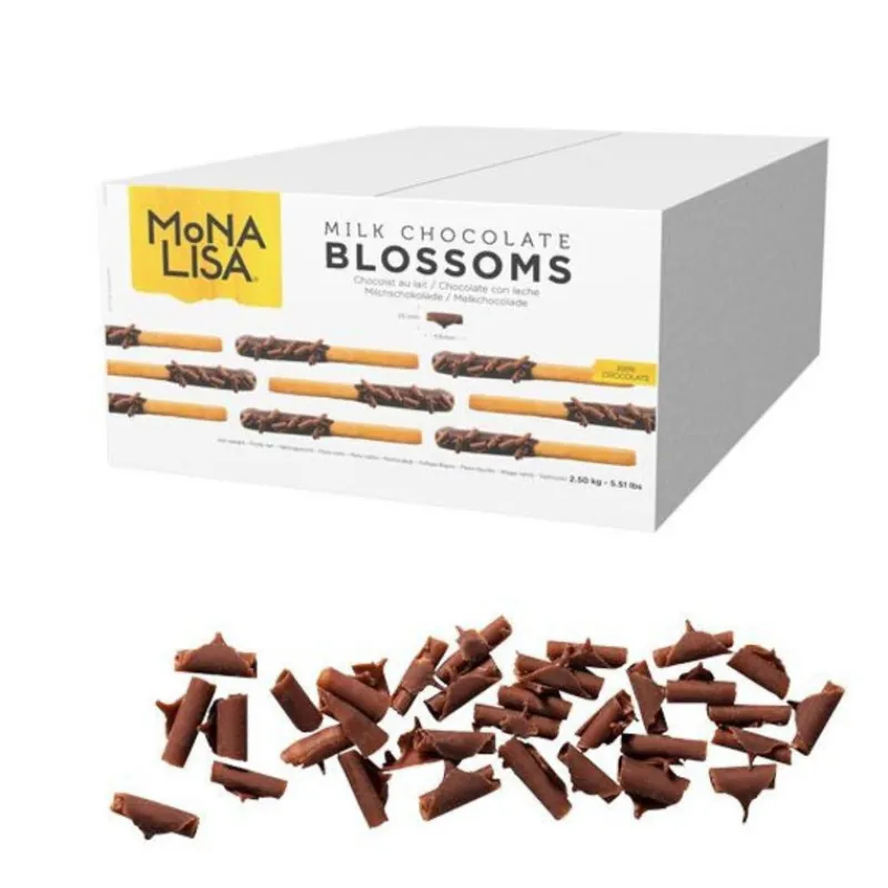 Clearance Cerf Dellier Copeaux fins de chocolat au lait Mona Lisa 2,5 kg