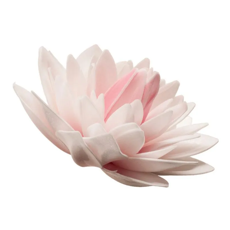 Outlet Cerf Dellier Dahlia rose géant azyme