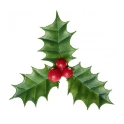 Cerf Dellier Décors Noël houx (x144)