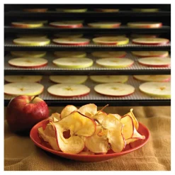 Outlet Cerf Dellier Déshydrateur électrique composite à fruits et légumes 9 plateaux 40° à 74° c