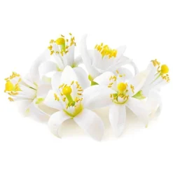 Best Cerf Dellier Extrait de fleur d'oranger 50 ml