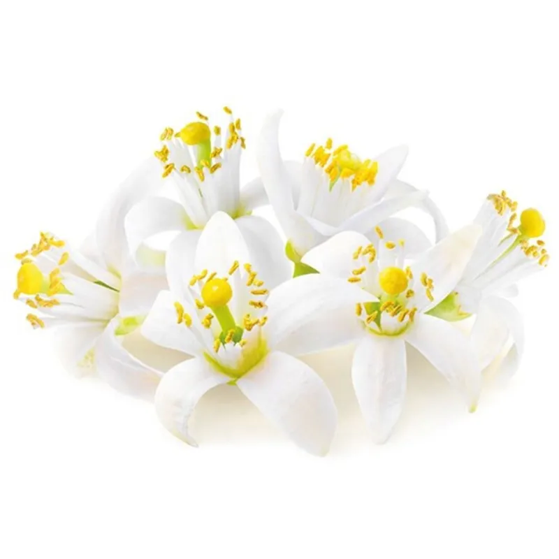 Best Cerf Dellier Extrait de fleur d'oranger 50 ml