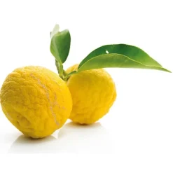 Discount Cerf Dellier Extrait de yuzu 50 ml