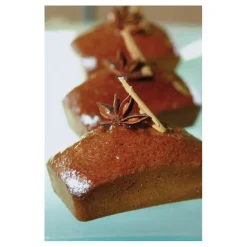 Sale Cerf Dellier Flexipan GN 1/1 plaque de 16ingots 10,2x5,8x3 cm