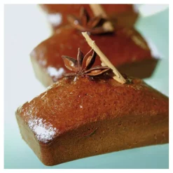 Sale Cerf Dellier Flexipan GN 1/1 plaque de 16ingots 10,2x5,8x3 cm