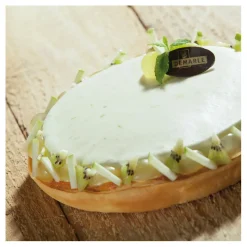 New Cerf Dellier Flexipan 60x40 plaque de 6 empreintes rondes 16,6 cm