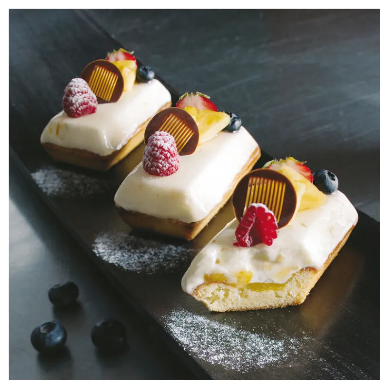 Best Cerf Dellier Flexipan 60x40 plaque de 24 financiers 8,7x4,7x1,4 cm