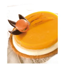 Cerf Dellier Flexipan 60x40 plaque de 6 inserts 2 étages 16x2,8 cm