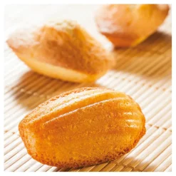 Online Cerf Dellier Flexipan 60x40 plaque de 40 madeleines 7,8x4,7 cm