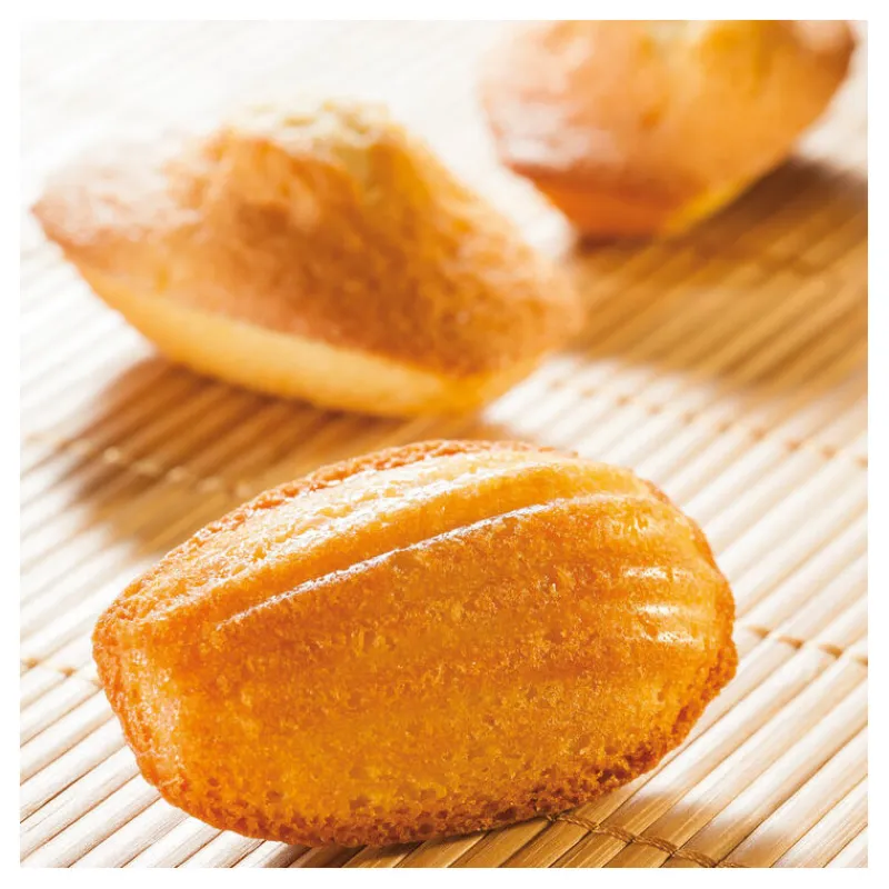 Online Cerf Dellier Flexipan 60x40 plaque de 40 madeleines 7,8x4,7 cm