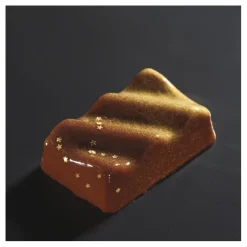 Online Cerf Dellier Flexipan 60x40 plaque de 24 ondines 7,9x4,9x2,9 cm