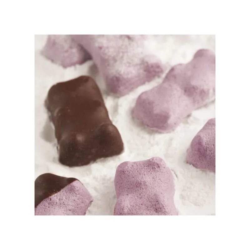 Sale Cerf Dellier Flexipan 60x40 plaque de 32 oursons 6,6x3,7x1,8 cm