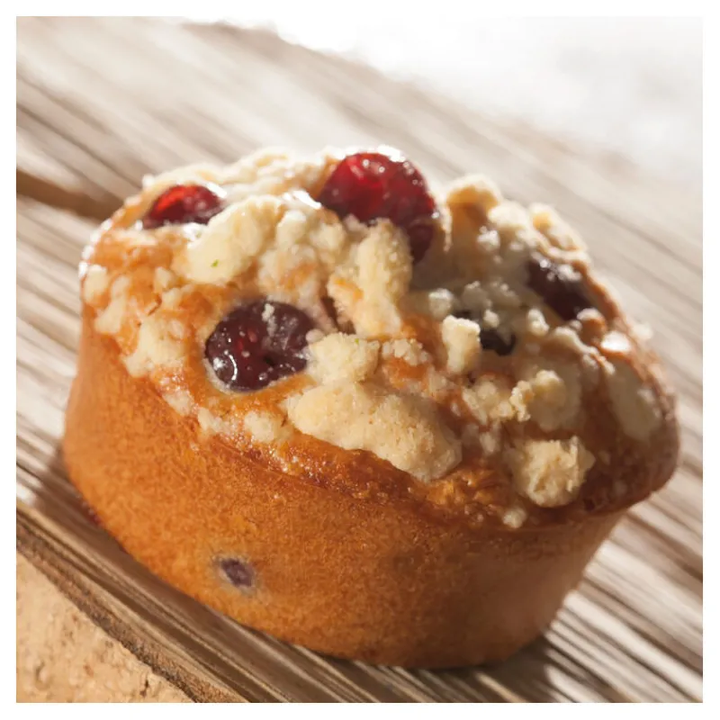 New Cerf Dellier Flexipan 60x40 plaque de 6 quiches 14 cm