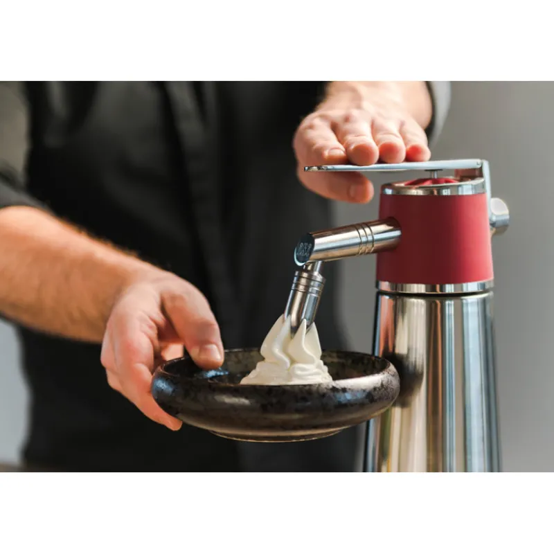 Sale Cerf Dellier ISI siphon thermo xpress plus sur pied 1 l