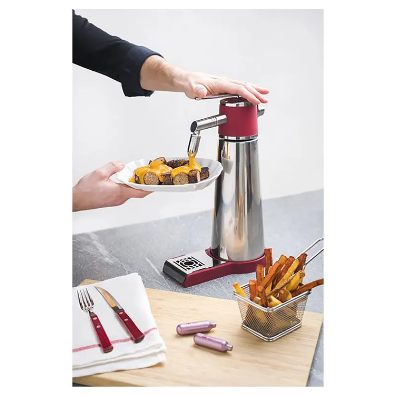 Sale Cerf Dellier ISI siphon thermo xpress plus sur pied 1 l