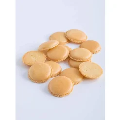 Hot Cerf Dellier Le Petit Manuel du Macaron