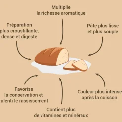 Hot Cerf Dellier Levain de blé dur 150 g