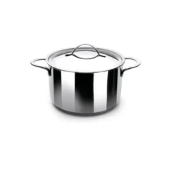 Outlet Cerf Dellier Marmite inox avec couvercle