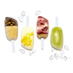 New Cerf Dellier Moule à esquimaux silicone + 12 bâtons