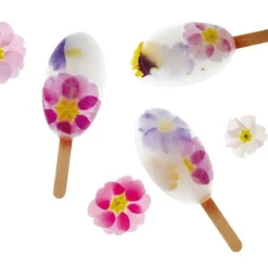 Outlet Cerf Dellier Moule à esquimaux silicone Waikiki + 50 bâtons