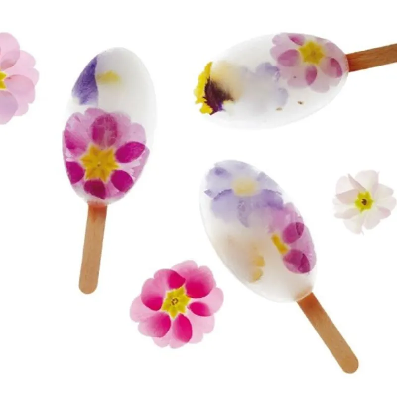 Outlet Cerf Dellier Moule à esquimaux silicone Waikiki + 50 bâtons