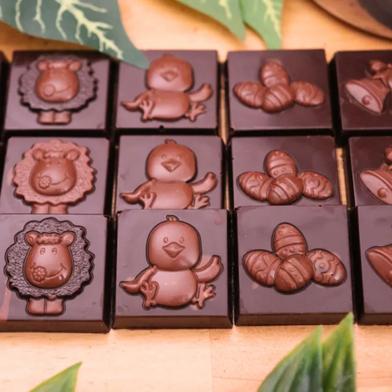 Hot Cerf Dellier Moule carrés chocolat napolitains Pâques