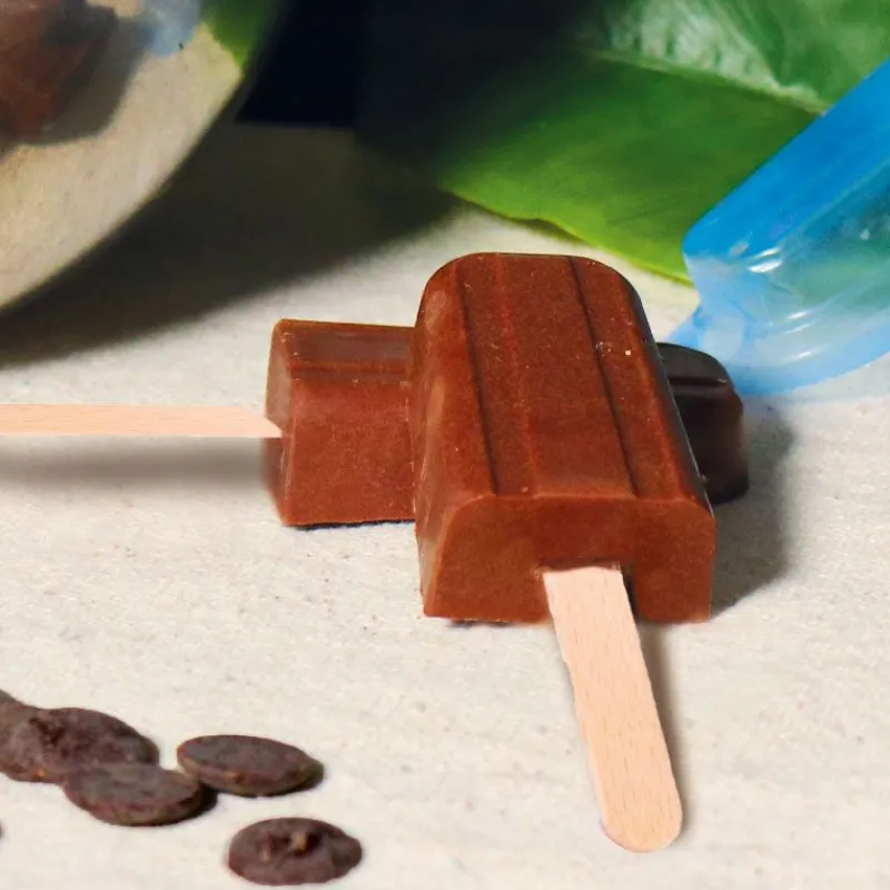 Hot Cerf Dellier Moule chocolat en 3 parties glaces esquimaux