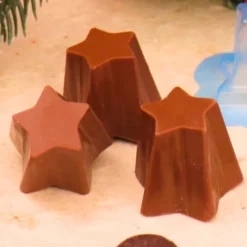 Online Cerf Dellier Moule chocolat en 3 parties 8 coupes étoile