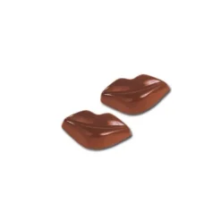 Online Cerf Dellier Moule chocolats 20 Bouches