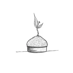 Best Cerf Dellier Moule mini tarte 3D Citrons Pavoni