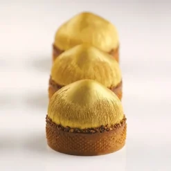 Cerf Dellier Moule mini tarte 3D Noisettes Pavoni