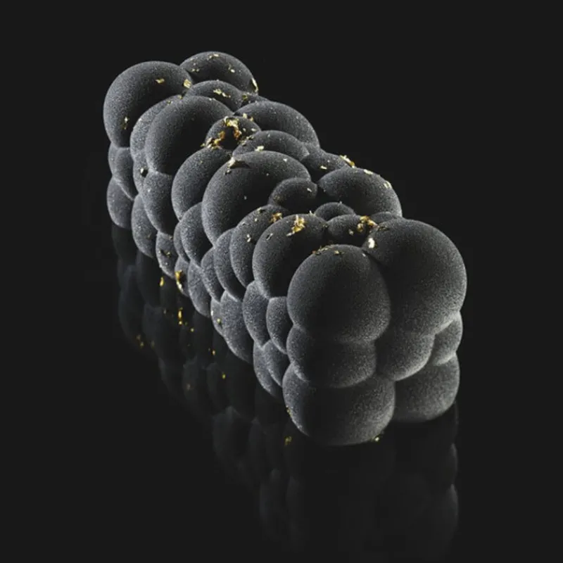 New Cerf Dellier Moule silicone Atomic Pavoni