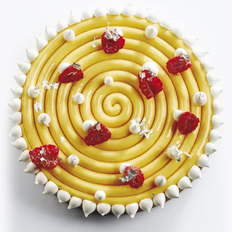 Hot Cerf Dellier Moule silicone Ipnosi grand Pavoni