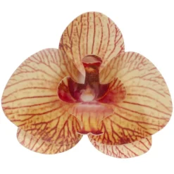 Outlet Cerf Dellier Orchidées jaunes azyme (x10)