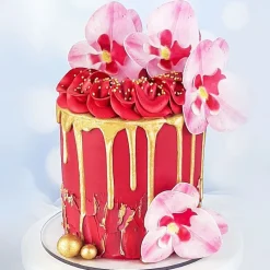 Best Cerf Dellier Orchidées roses azyme (x10)