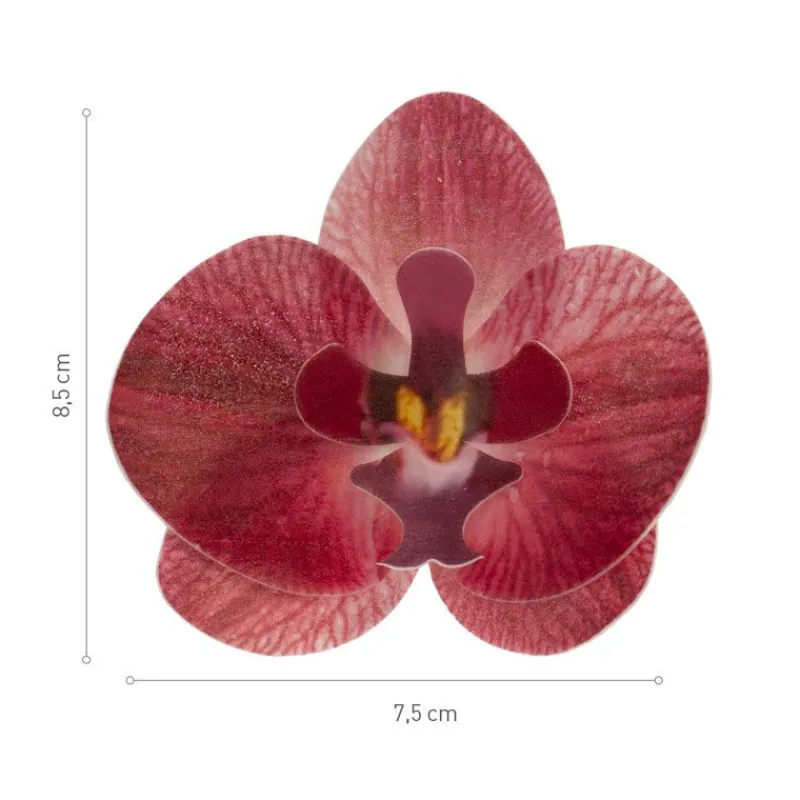New Cerf Dellier Orchidées rouges azyme (x10)