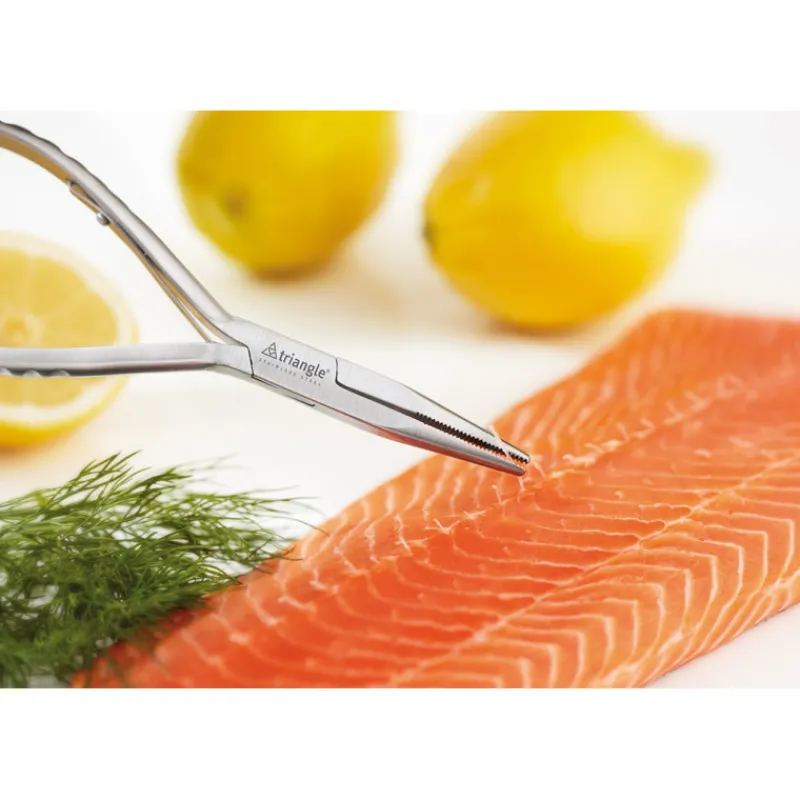 Best Cerf Dellier Pince à grosses arêtes de poisson inox 17 cm
