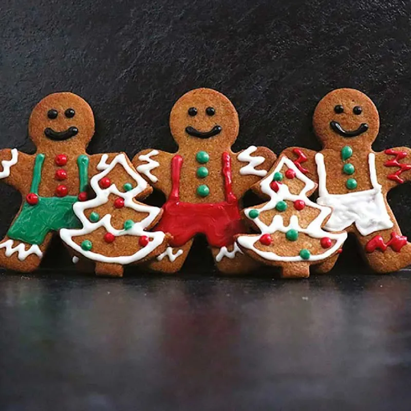 Hot Cerf Dellier Préparation biscuits pain d'épices 250 g - DDM 06/24