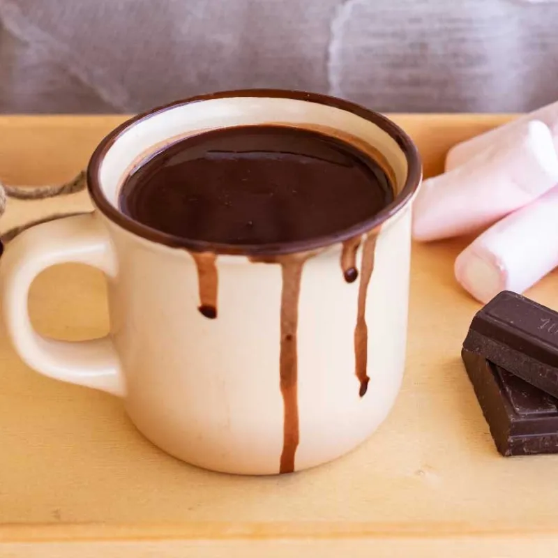 Cerf Dellier Préparation instantanée pour boisson au cacao - 300 g