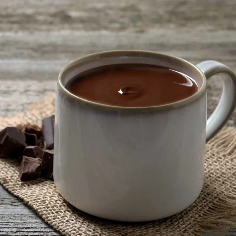 Online Cerf Dellier Préparation instantanée pour boisson au cacao saveur intense - 300 g