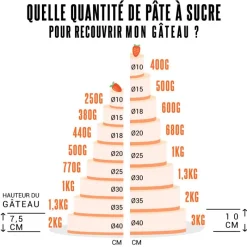 Hot Cerf Dellier Pâte à sucre blanche Renshaw 5 kg